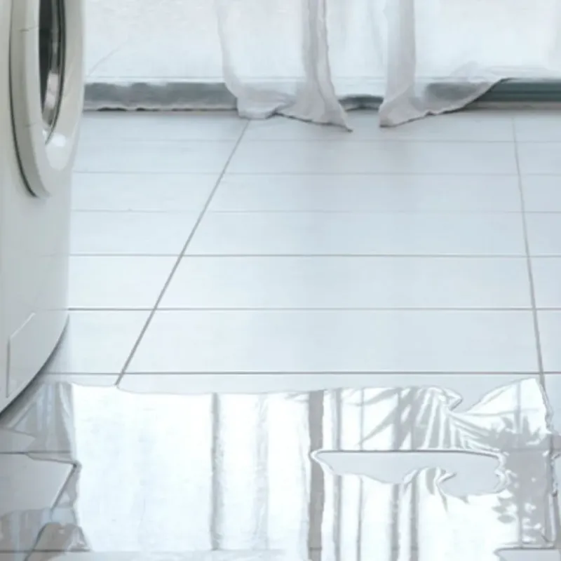Appliance Leak Cleanup in Henagar, AL