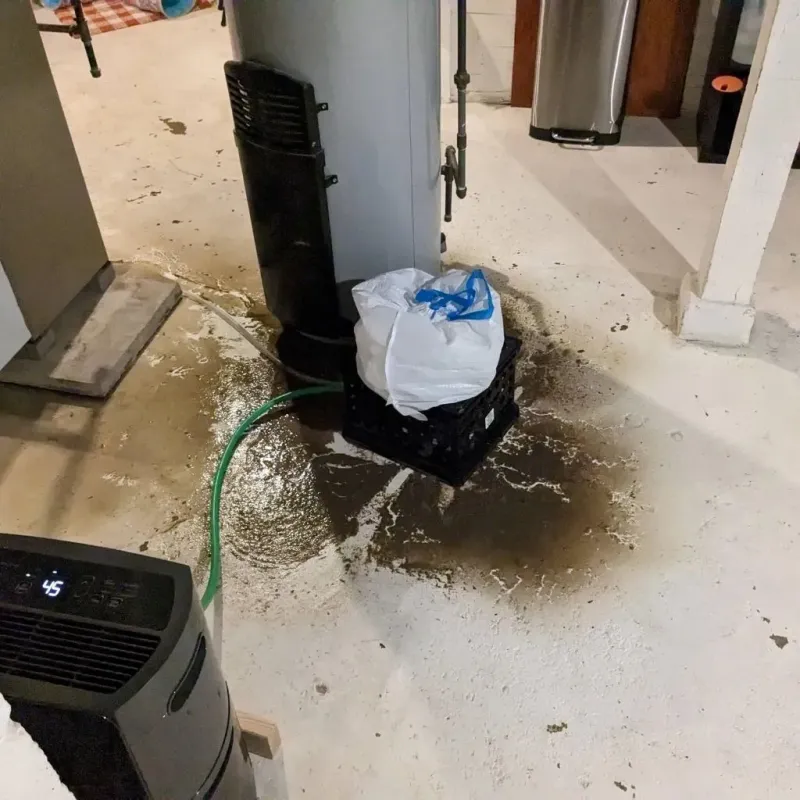Sewage Backup Cleanup Service in Henagar, AL